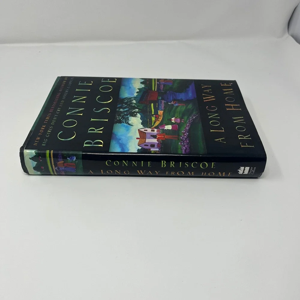 A Long Way from Home By Connie Briscoe 1999 Paperback‎ Novel Book Fiction